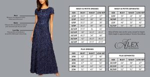 Women's Long Maxi Skirt (Regular and Petite)